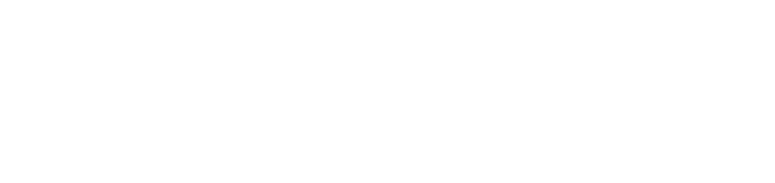 toiro